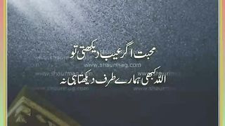 اسلامی معلومات 469