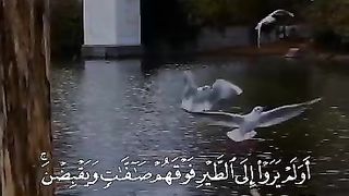 ????️عبدالرحمن السدیس????