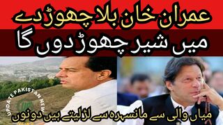 Your challenge has been fulfilled?... I am not one of those who challenge... Leave Imran Khan alone... I will leave the lion.