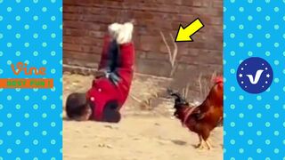 Funny & Hilarious Video People's Life #15 ???? Try Not To Laugh Funny Videos 2023
