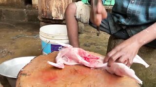 Rabbit Hunting|Srilankan Style Rabbit Briyani|Village Hunting|Village Food Safari