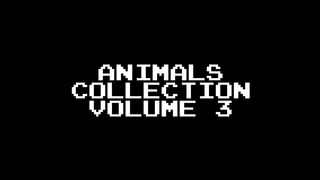 Animals Collection Volume 3 - Find the Animals, Whales, Big Cats - The Kids' Picture Show (Learning)