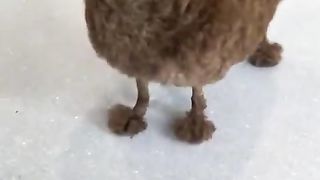 funny dog 20