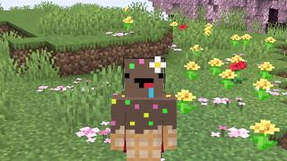 J'ai test la 1.21 de Minecraft avant tout le Monde !.. (Minecraft)