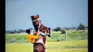 Horse riding ????????????????????????