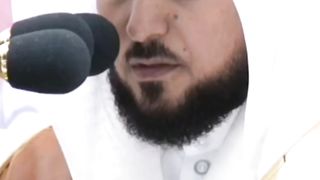 فضيلة الشيخ ماهر المعيقلي 2