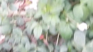 Animal's lover 369