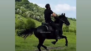 Video 315