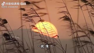 历史 6