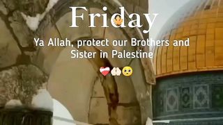 Free palestine 2