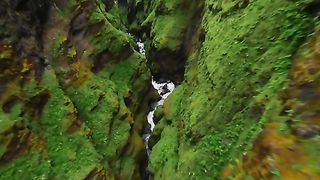 Beautiful nature