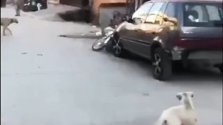action makes biker fall.