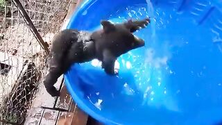 Водные процедуры