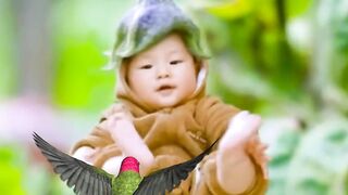 Baby lucu lagi bermain sama burung ????