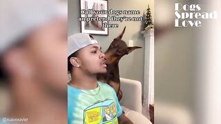 Call your dogs name when they are next to you