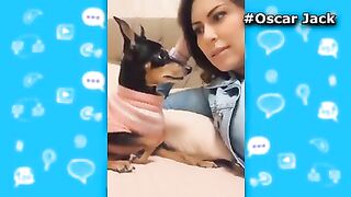Animales tirandosen gases de la forma mas divertida | Oscar Jack
