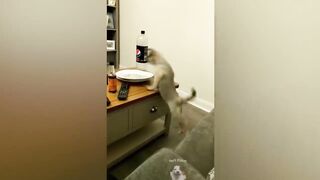 If you laugh in 15 sec, you