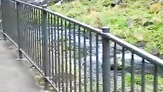 waterfall view