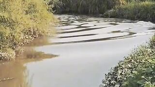 Видео ужас