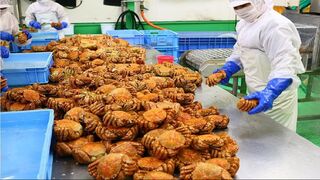 AWESOME HAIRY CRAB CATCHING DEEP SEA