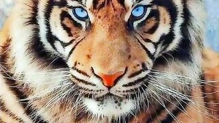 Егор