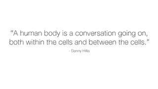 How does your immune system work?