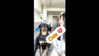 Best Dog 2022 | Videos Dogs Pet Dog Video