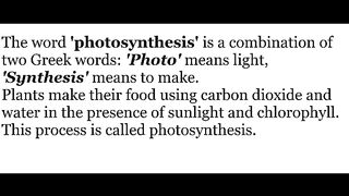 What is photosynthesis