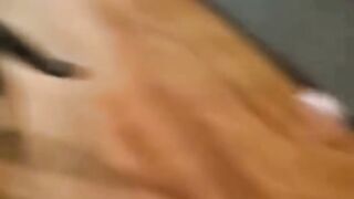 cat funny videos ???????? funny moments | comedy videos