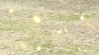 Soccer 축구 #soccer #fun #funnyvideo #tiktok #funny #funnymemes #memes #funnymoments #funnyvideos