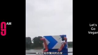 Try Not To Laugh Funny Videos - Funny Moments Of The Year Compilation ???????????? PART 137