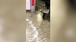 BEST MEMES COMPILATION _ 100% LOSE ???? Try Not to LAUGH Challenge _ Dank Memes Compilation 2022