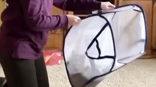 Best funny cute animals fail ops moments viral clips shorts video