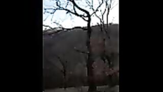 Susret u šumi