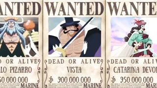 One piece unknown bounty