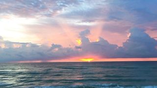 Nature Video | Amazing View | Nature Scenery | Beautiful Nature Video | #nature #febspot
