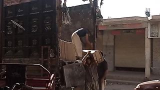 Hard full labour life.....