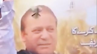Nawaz sharif pegeon sitting scene