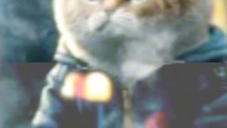 #capcut #Cute #cat #cutecat #mame #min #LovelycatP #cat#foryou #catlovecapcut #mame#min #viral