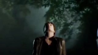 The vampire diaries