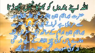 Allah Apne Brandon ko boka nhi chudta | اللہ اپنے بندوں کو بھوکا نہیں چھوڑتا