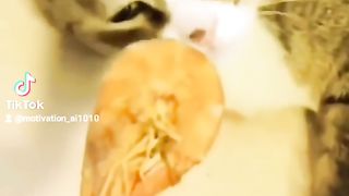 The End funny tiktok animal