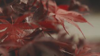 Nature 148