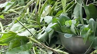 Funny video 2023 49