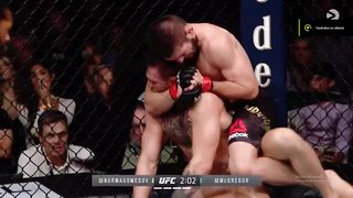 UFC 229 - Khabib Nurmagomedov vs Conor McGregor - Ending chaos