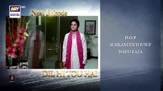 Dil Hi Tou Hai Episode 21 | Promo | Review | ARY Digital Drama