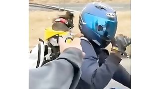 COOLEST DOG RIDING BIKE