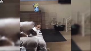 try to not laugh 2