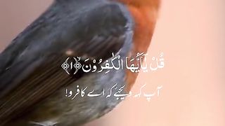 Surah kafirun