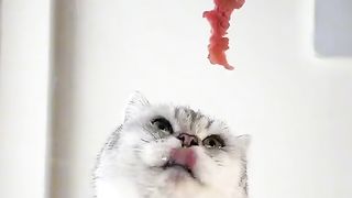 Приколи 493